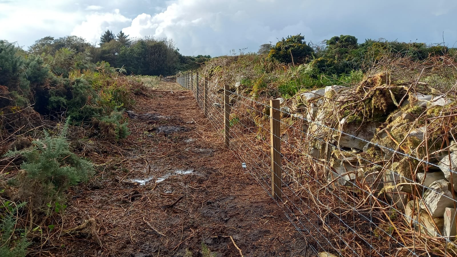 Agricultural fencing in Argyll